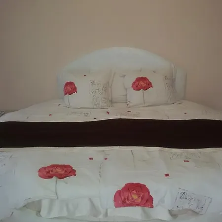 Peak Guest